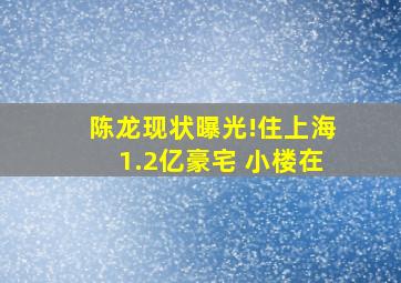 陈龙现状曝光!住上海1.2亿豪宅 小楼在